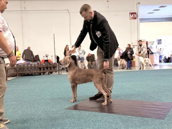 vystava-nitra-stavače6